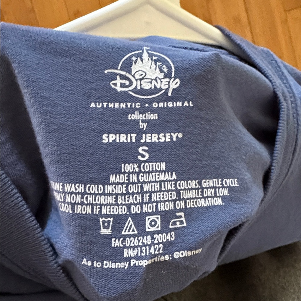 Disneyland spirit jersey - Picture 3 of 3